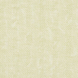 Clarke & Clarke ASHMORE CITRON Fabric
