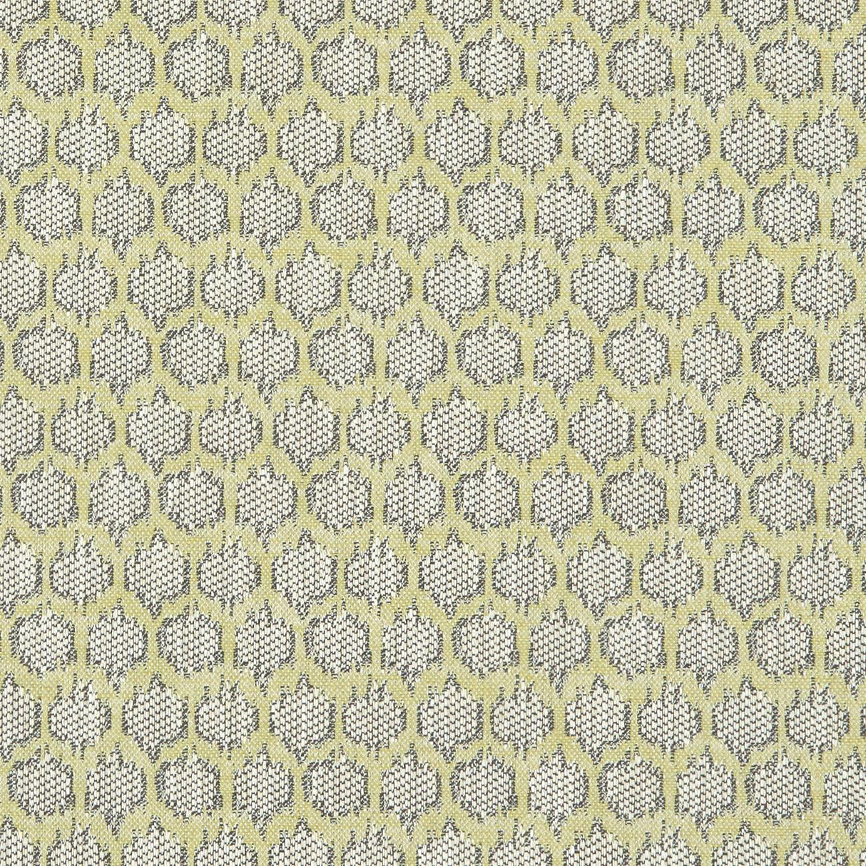 Clarke & Clarke DORSET CITRON Fabric