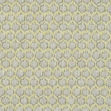 Clarke & Clarke DORSET CITRON Fabric