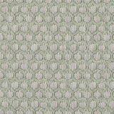 Clarke & Clarke DORSET SAGE Fabric
