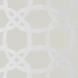 Clarke & Clarke FASCINO CHAMPAGNE Fabric