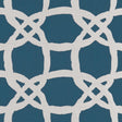 Clarke & Clarke FASCINO KINGFISHER Fabric