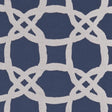 Clarke & Clarke FASCINO MIDNIGHT Fabric