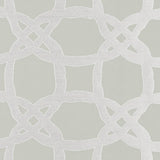 Clarke & Clarke FASCINO PEBBLE Fabric