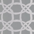 Clarke & Clarke FASCINO PEWTER Fabric
