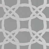 Clarke & Clarke FASCINO PEWTER Fabric