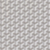 Clarke & Clarke STRUTTURA PEBBLE Fabric