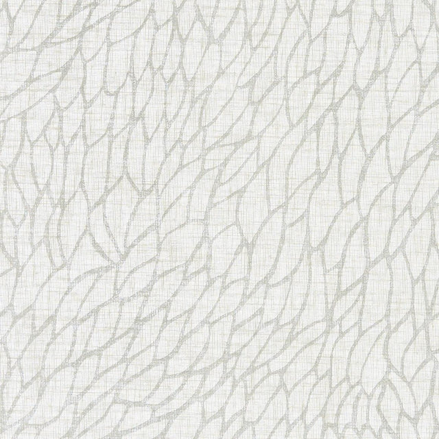 Clarke & Clarke CORALLINO SHEER CHALK/SILVER Drapery Fabric