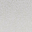 Clarke & Clarke CORALLINO SHEER CHAMPAGNE/GOLD Drapery Fabric