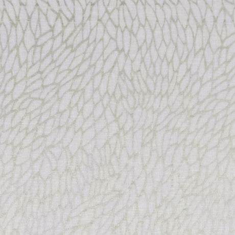 Clarke & Clarke CORALLINO SHEER CHAMPAGNE/GOLD Drapery Fabric