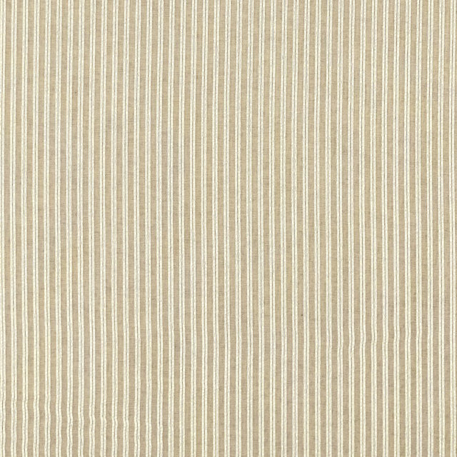 Clarke & Clarke MATTEO CHAMPAGNE Drapery Fabric