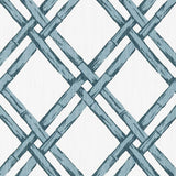 Clarke & Clarke BHUTAN DENIM Fabric
