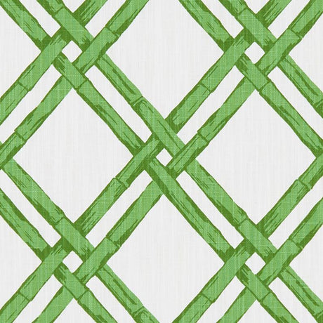 Clarke & Clarke BHUTAN EMERALD Fabric