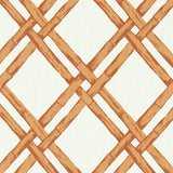 Clarke & Clarke BHUTAN SPICE Fabric