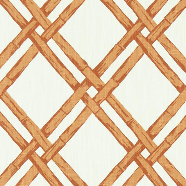 Clarke & Clarke BHUTAN SPICE Fabric