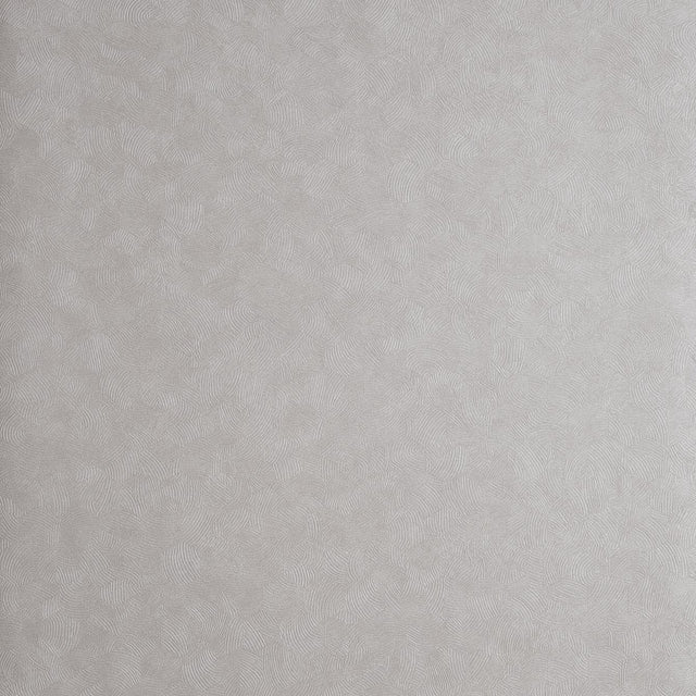 Clarke & Clarke HEXAGON MERCURY Wallpaper