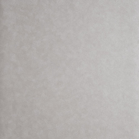 Clarke & Clarke HEXAGON MERCURY Wallpaper