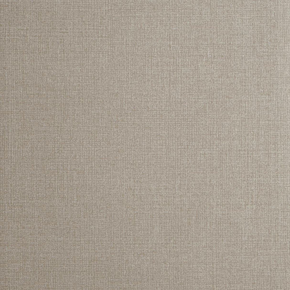 Clarke & Clarke NICO ANTIQUE Wallpaper