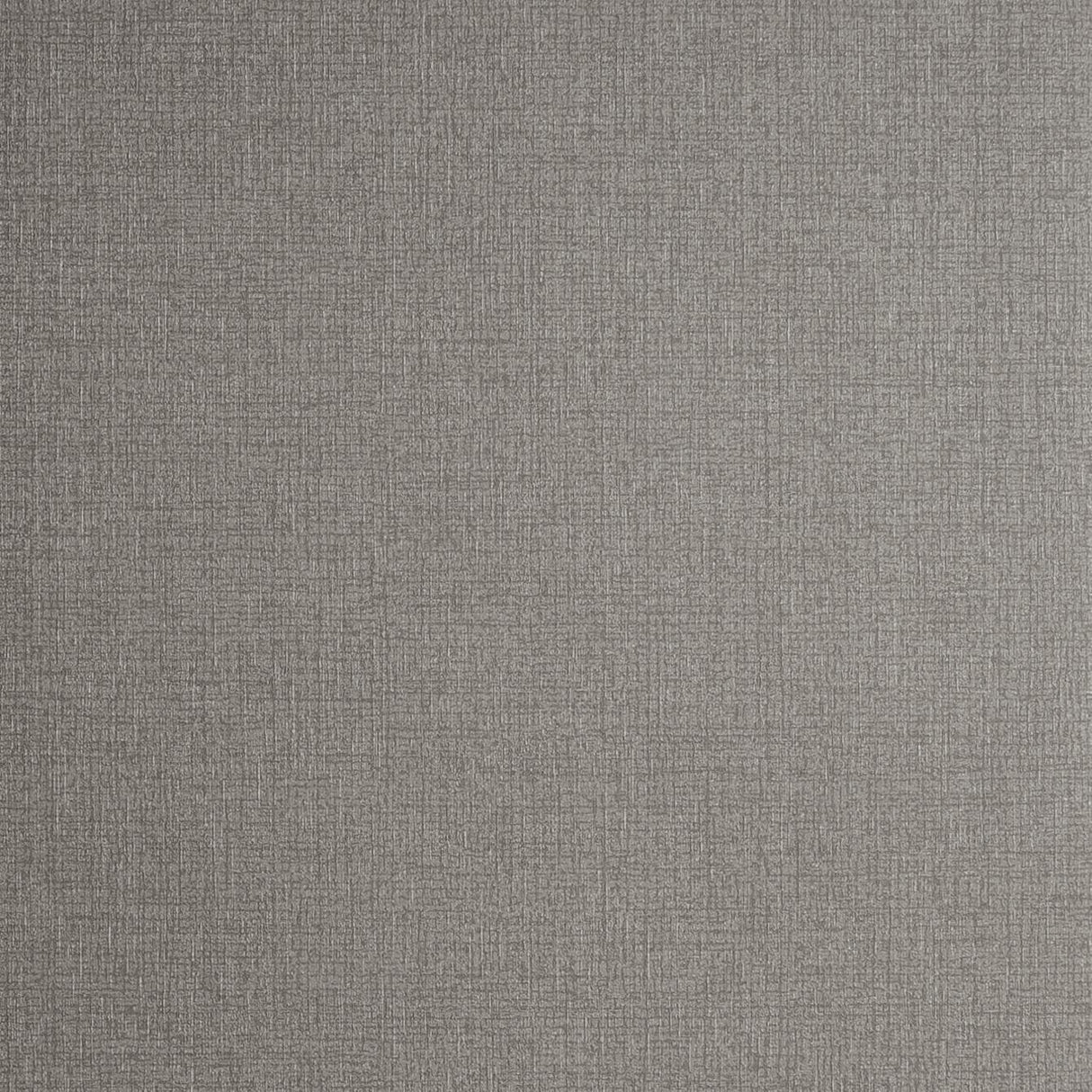 Clarke & Clarke NICO PEWTER Wallpaper