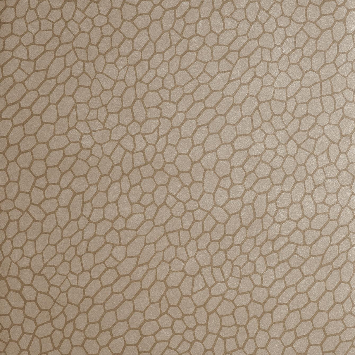 Clarke & Clarke PLAYA ANTIQUE Wallpaper