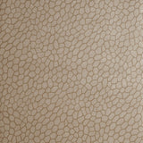 Clarke & Clarke PLAYA ANTIQUE Wallpaper