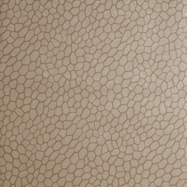 Clarke & Clarke PLAYA ANTIQUE Wallpaper