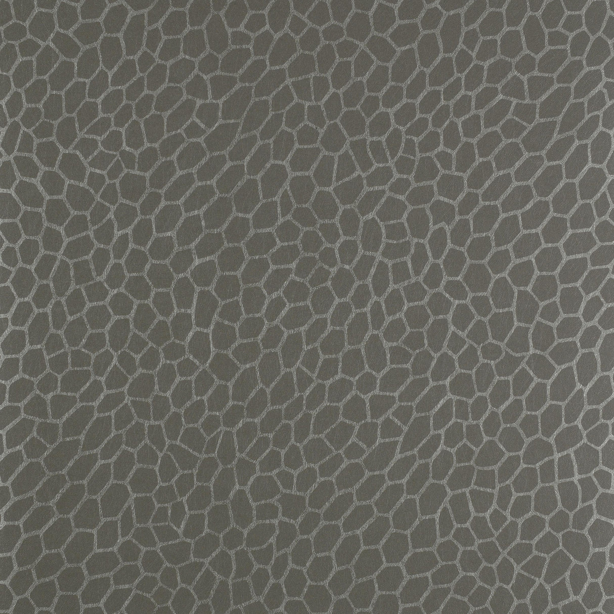 Clarke & Clarke PLAYA GRANITE Wallpaper