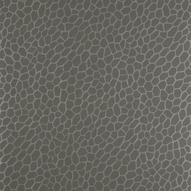 Clarke & Clarke PLAYA GRANITE Wallpaper