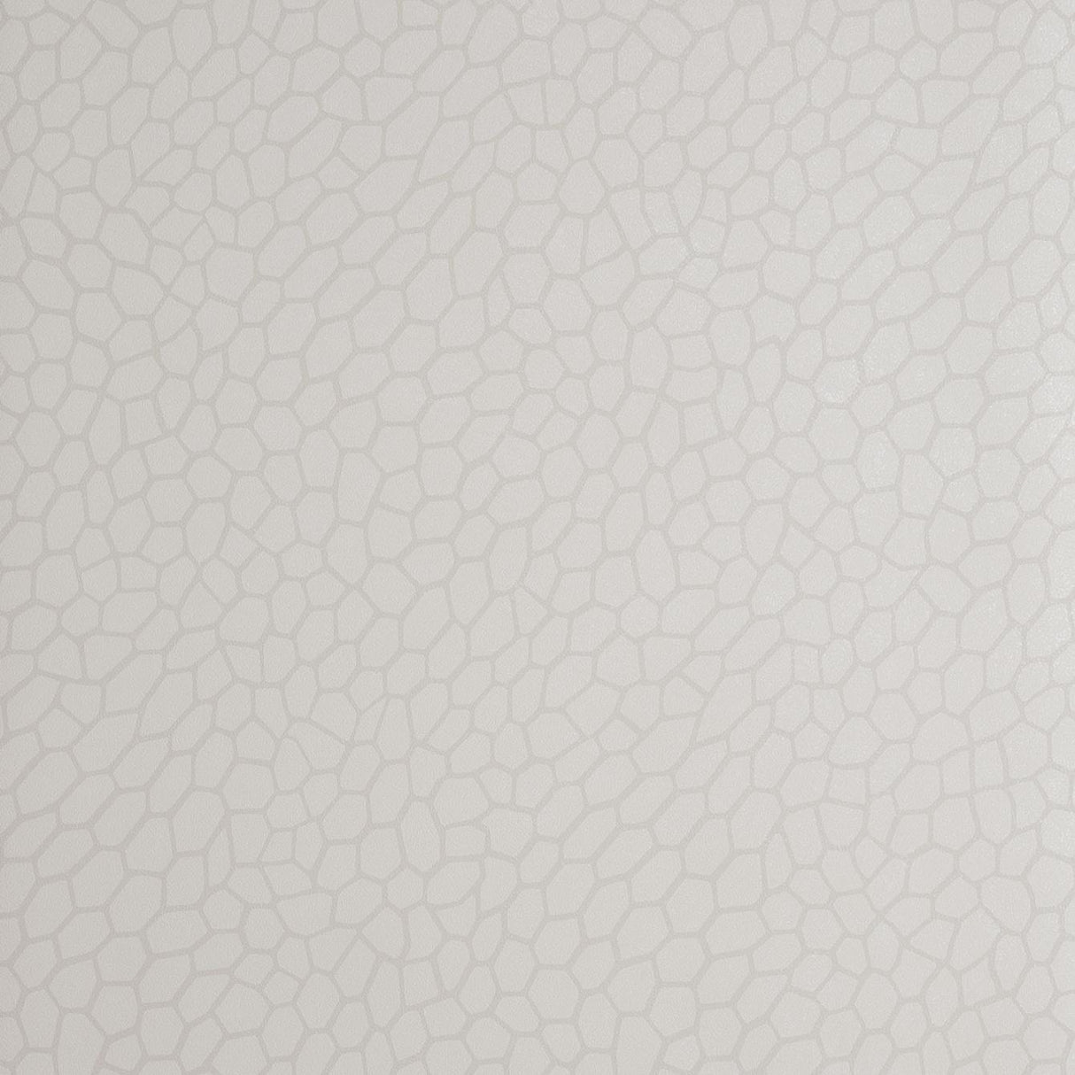 Clarke & Clarke PLAYA PARCHMENT Wallpaper