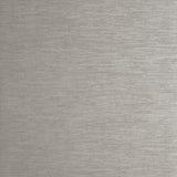 Clarke & Clarke QUARTZ PEWTER Wallpaper