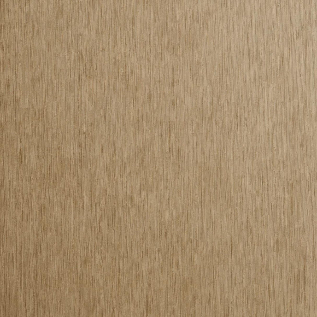 Clarke & Clarke RAFI BAMBOO Wallpaper