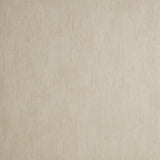 Clarke & Clarke RAFI CREAM Wallpaper