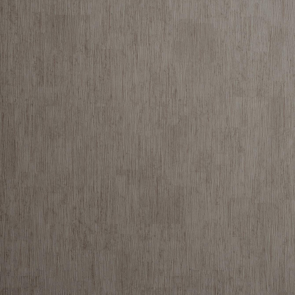 Clarke & Clarke RAFI STEEL Wallpaper