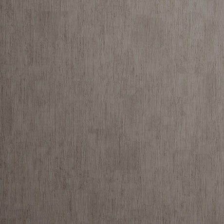 Clarke & Clarke RAFI STEEL Wallpaper