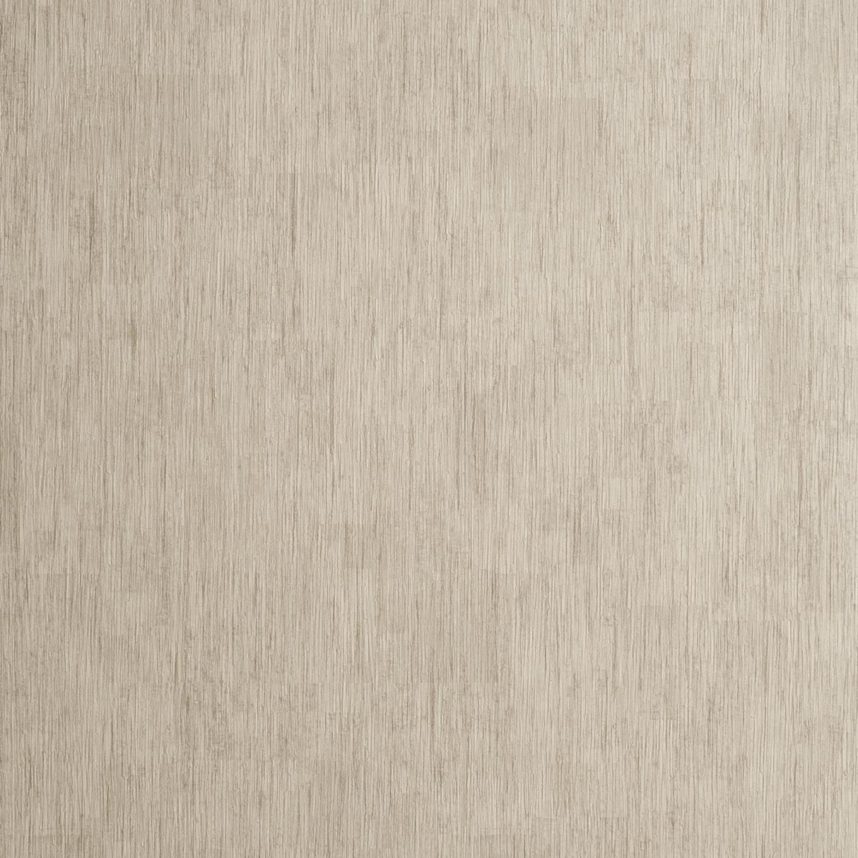Clarke & Clarke RAFI TAUPE Wallpaper