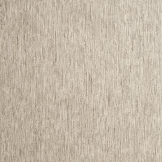 Clarke & Clarke RAFI TAUPE Wallpaper