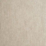 Clarke & Clarke RAFI TAUPE Wallpaper