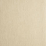 Clarke & Clarke RAFI WHEAT Wallpaper