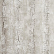 Clarke & Clarke TREE BARK BIRCH Wallpaper