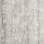 Clarke & Clarke TREE BARK BIRCH Wallpaper