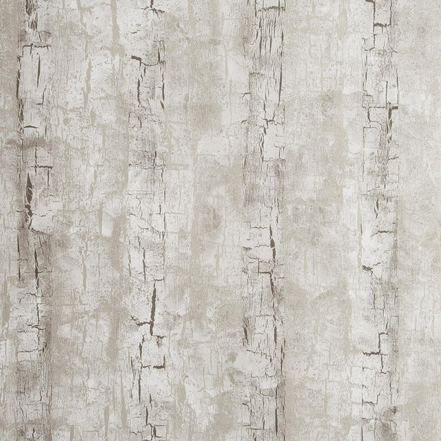 Clarke & Clarke TREE BARK BIRCH Wallpaper