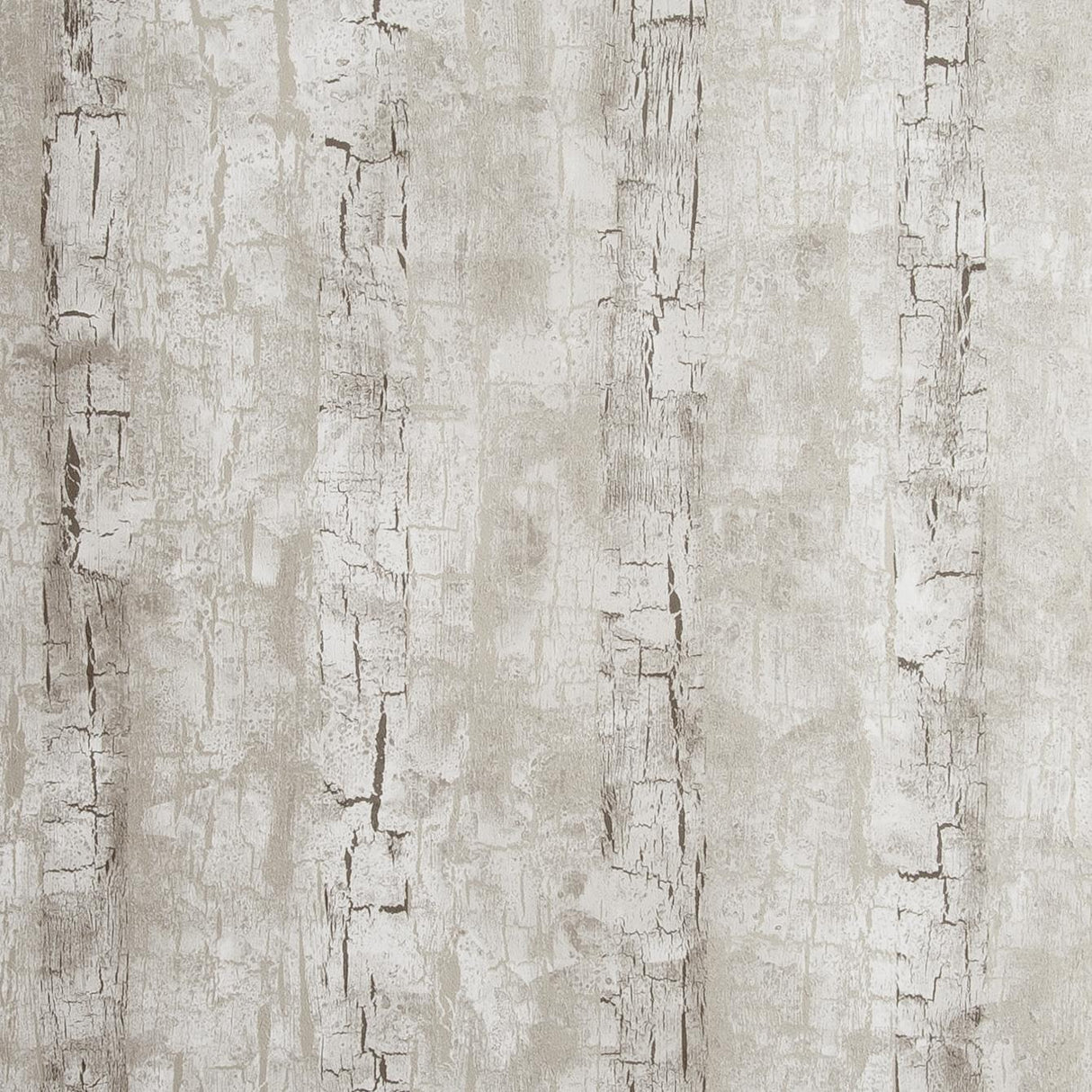 Clarke & Clarke TREE BARK BIRCH Wallpaper