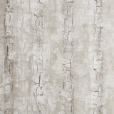Clarke & Clarke TREE BARK BIRCH Wallpaper