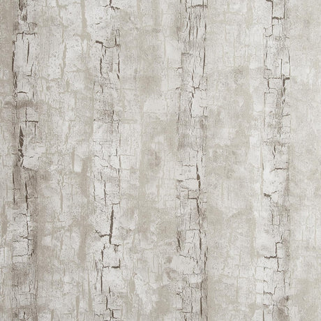 Clarke & Clarke TREE BARK BIRCH Wallpaper