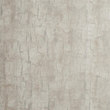 Clarke & Clarke TREE BARK PARCHMENT Wallpaper