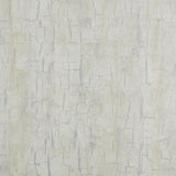 Clarke & Clarke TREE BARK PEARL Wallpaper
