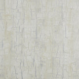 Clarke & Clarke TREE BARK PEARL Wallpaper
