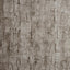 Clarke & Clarke TREE BARK PEWTER Wallpaper