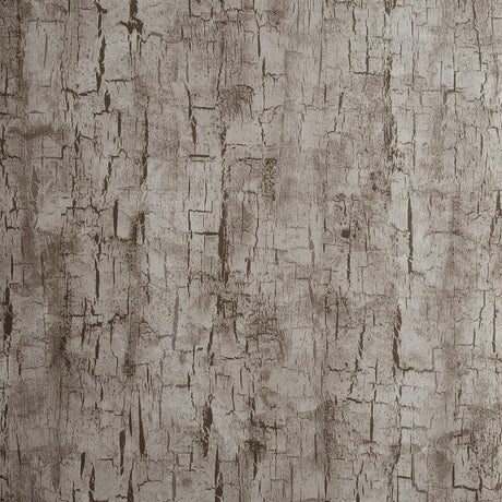 Clarke & Clarke TREE BARK PEWTER Wallpaper