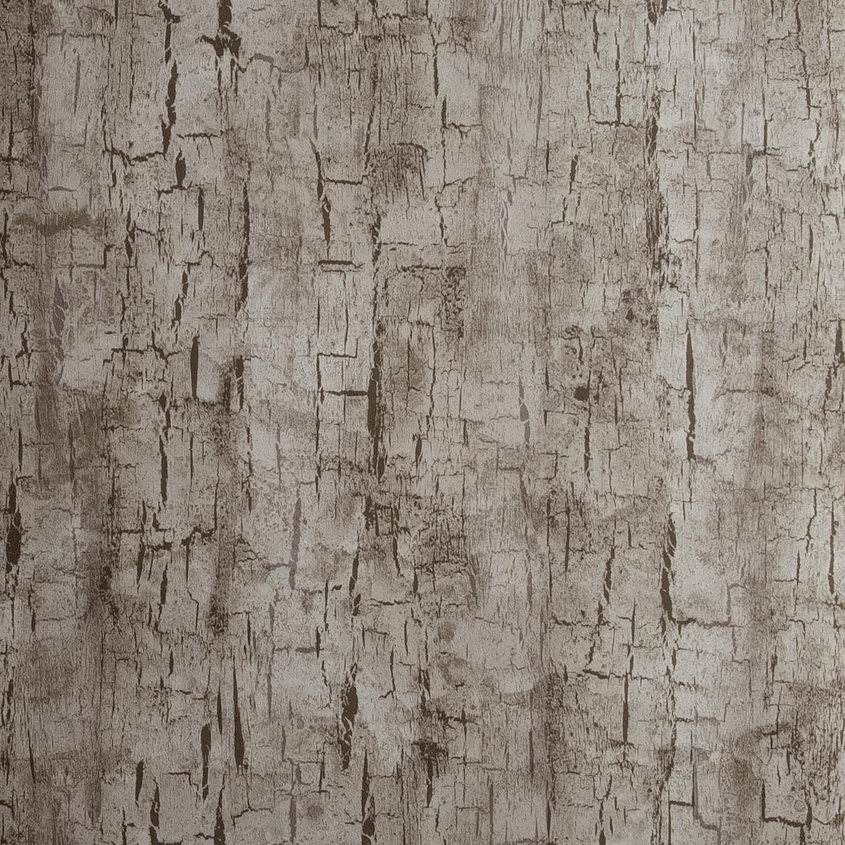 Clarke & Clarke TREE BARK PEWTER Wallpaper